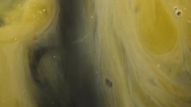 Makro, siyah bir arka planda yumurta sarısından bir omlet gibi çırpınıyor..