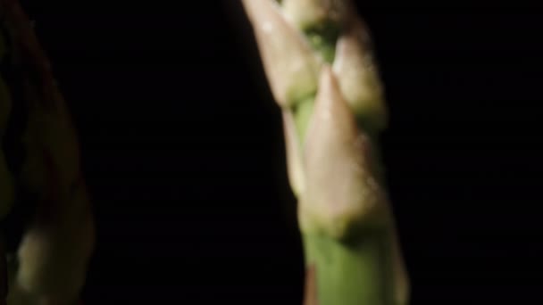 Kamera Bergerak Melalui Tombak Asparagus Pada Latar Belakang Hitam Dolly — Stok Video