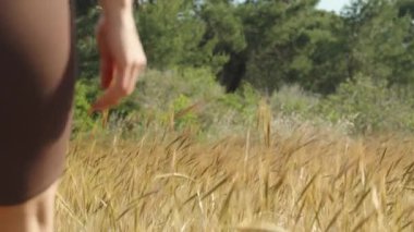 Uzun kuru otların altın sapları, buğday tarlasını andırıyor, rüzgarda sallanan bir kadın aralarından geçerken, yavaşça uzaklarda kayboluyor..