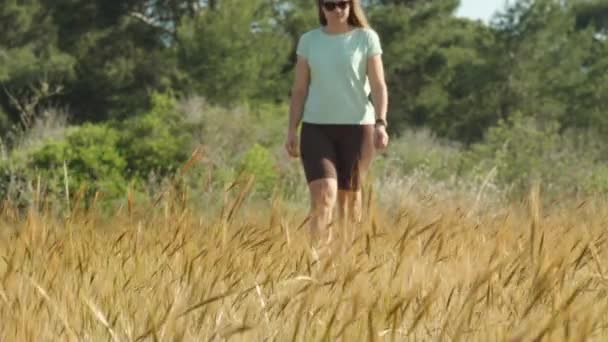 Kobieta Krótkich Brązowych Legginsach Idzie Kierunku Kamery Przez Złote Łodygi — Wideo stockowe