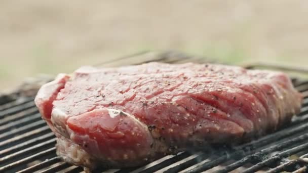 Leg Een Takje Rozemarijn Bovenop Biefstuk Terwijl Het Sijpelt Grill — Stockvideo