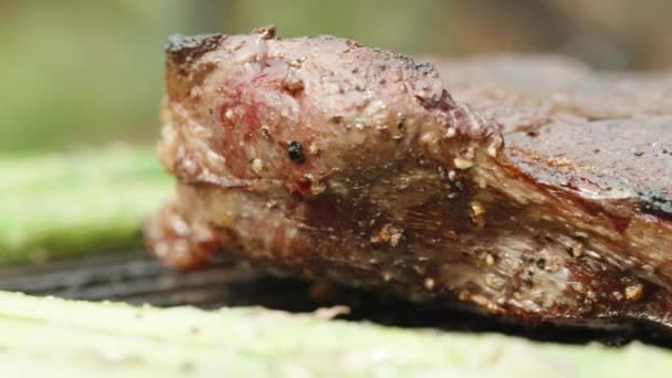 배경에 아스파라거스 스피어와 그릴에 쇠고기 스테이크 Sizzling의 조각의 매크로 — 비디오