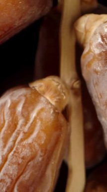 Kurumuş tarihler siyah arka planda yakın planda dönen bir dalda, kamera uzaklaşıyor. Dikey video.