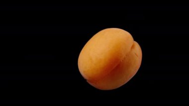 Siyah arkaplanda bir kayısı yakın plan, izole edilmiş bir şekilde döner..