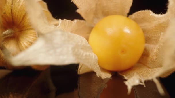 Siyah Aynalı Arka Planda Bir Physalis Bitkisi Meyvesi Dolly Kaydırıcı — Stok video