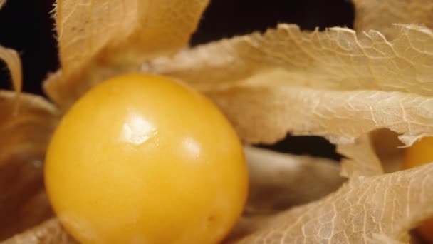 Kamera Prześlizguje Się Przez Obrane Owoce Pomarańczy Physalis Czarnym Lustrzanym — Wideo stockowe