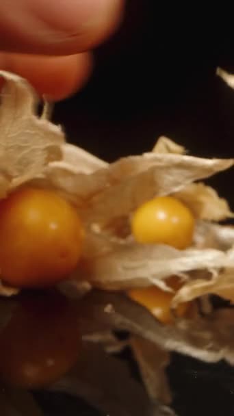 オレンジ色の物理的な果実から一つずつ剥がします クローズアップショットです バーティカルビデオ — ストック動画