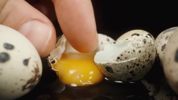 私はひび割れたウズラの卵を取って カメラが後ろに滑り クローズアップショットをキャプチャするようにそれから卵黄を抽出しようとします — ストック動画