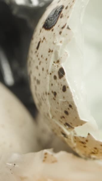 Telur Puyuh Dalam Kemasan Plastik Salah Satunya Retak Dolly Slider — Stok Video