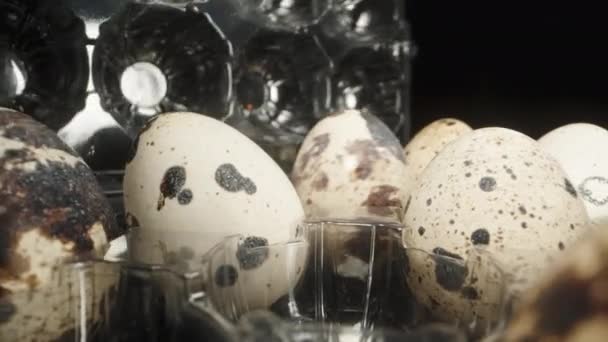Camera Plastic Packaging Quail Eggs Placing Eggs Dolly Slider Extreme — Stock Video