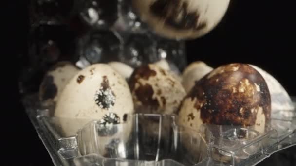 Беру Перепелині Яйця Одному Пластикової Коробки Коли Камера Стає Ближче — стокове відео
