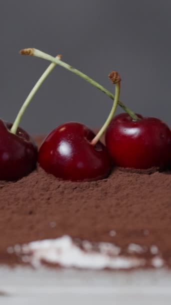 Pięknie Prezentowany Jest Tort Tiramisu Zakurzony Proszek Kakaowy Ozdobiony Wiśnią — Wideo stockowe
