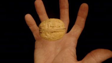 Bir cevizin bir elin üzerine dönüşünün ve düşüşünün yukarıdan aşağı görüntüsü, siyah bir arkaplana karşı, yavaş çekimde.