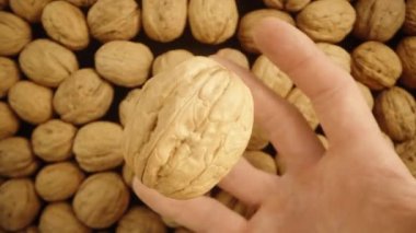 Yukarıdan aşağıya baktığımda, fındığı diğer ceviz kümelerinin arasında, makro zoom 'da yakaladım..