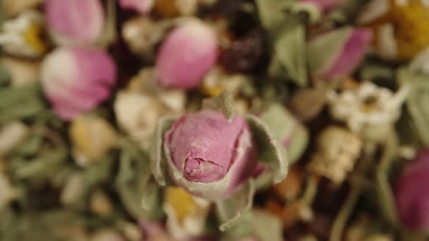 Trockener Tee Aus Verschiedenen Kräutern Und Blumen Eine Rosenknospe Dreht — Stockvideo