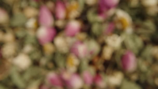 从失焦中脱颖而出的相机 聚焦在由洋甘菊 香草和玫瑰制成的茶的散射的特写上 一朵玫瑰花优雅地旋转着 — 图库视频影像
