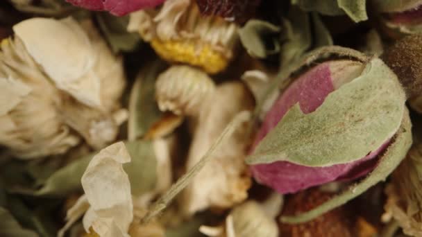 Απαραίτητα Βότανα Και Λουλούδια Για Τσάι Συμπεριλαμβανομένου Του Χαμομηλιού Και — Αρχείο Βίντεο