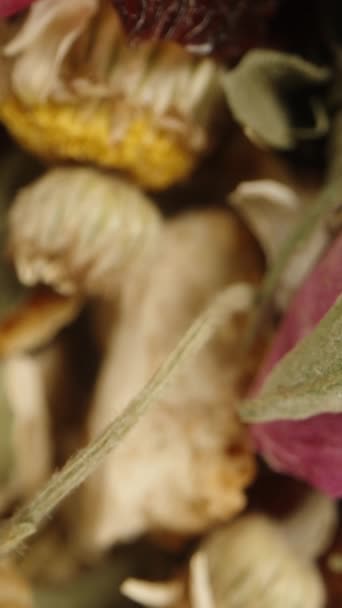 Essenzielle Kräuter Und Blüten Für Tee Darunter Kamille Und Rose — Stockvideo