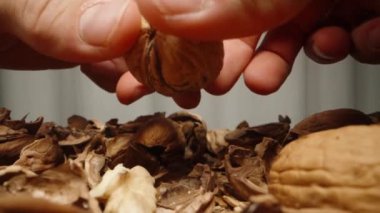 Cevizi iki elinle al ve ikiye böl. Yavaş çekim, makro kaydırma atışı.