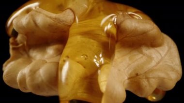 Kamera yavaşça cevizden fırlıyor. Bal üzerinden akarken ve aşağı damlarken, makro çekim siyah arka planda..