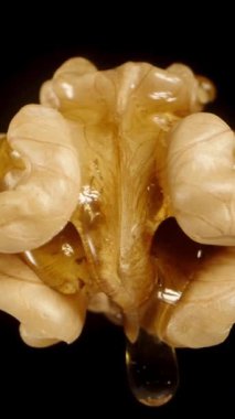 Arındırılmış bir ceviz, siyah bir zemin üzerinde havada süzülüyor gibi görünüyor, bal yavaşça içine damlıyor. Yakın plan çekim. Dikey video.