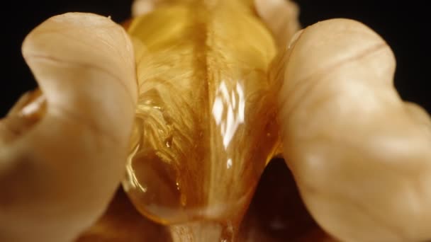 Ακραία Μακροεντολή Καθαρού Καρυδιού Μέλι Ρέει Αργά Στις Σχισμές Του — Αρχείο Βίντεο