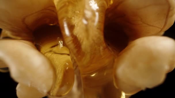 在核桃脉中流淌着蜂蜜的极端宏亮的芽 滑翔机运动 — 图库视频影像