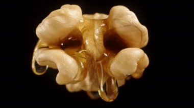 Siyah bir zemin üzerinde izole edilmiş saf bir ceviz, bal yavaşça yüzeyinden aşağı akıyor ve aşağıya doğru damlıyor. Kaydırma hareketi.