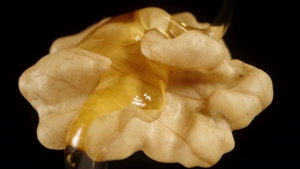 从顶部滴下蜂蜜的剥皮核桃仁的侧视图 特写镜头 在黑色背景上被隔离 — 图库视频影像
