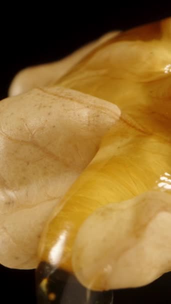 从顶部滴下蜂蜜的剥皮核桃仁的侧视图 特写镜头 被黑色的背景隔离了垂直录像 — 图库视频影像