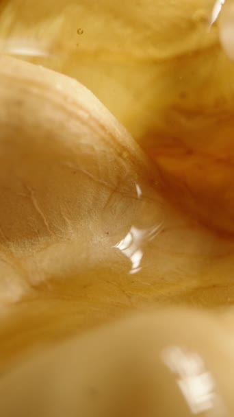 蜂蜜慢慢地从胡桃的花纹中渗出 这是一个极端的宏观镜头 垂直录像 — 图库视频影像