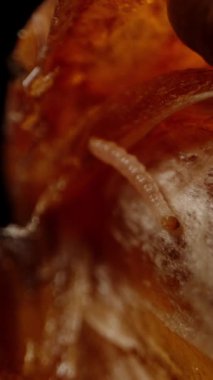 Siyah bir arka planda izole edilmiş bir meyvenin içindeki solucan. Macro kaydırma atışı. Dikey video.