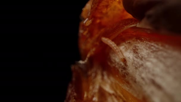 Ein Wurm Einer Dattelfrucht Isoliert Auf Schwarzem Hintergrund Makro Schieber — Stockvideo