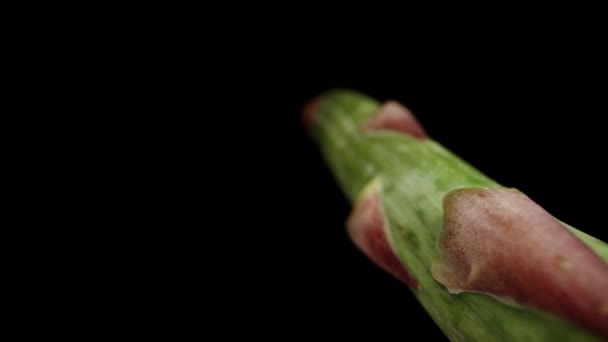 Stalk Asparagus Floating Air Black Background Isolated Dolly Slider Extreme — Stock Video