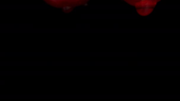 Twee Kersen Waterdruppels Geïsoleerd Zwarte Achtergrond Dolly Slider Extreme Close — Stockvideo