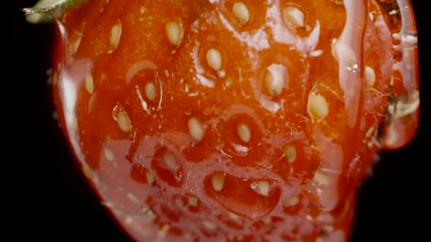 Μέλι Ρέει Στη Φράουλα Στιγμιότυπο Κύλισης Μακροεντολών Μαύρο Φόντο — Αρχείο Βίντεο
