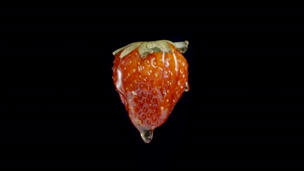 Een Eenzame Aardbei Geïsoleerd Een Zwarte Achtergrond Met Honing Druipend — Stockvideo