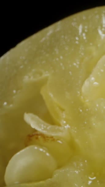 Snijd Groene Jalapeno Peper Segmenten Tegen Een Zwarte Achtergrond Macro — Stockvideo