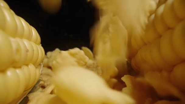 Suché Kukuřičné Vločky Padají Zpomaleném Filmu Kukuřičné Palice Shora Dolly — Stock video