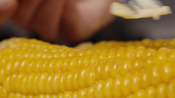 Einer Nahaufnahme Werden Zwei Heiß Gekochte Maiskolben Mit Butter Bestrichen — Stockvideo