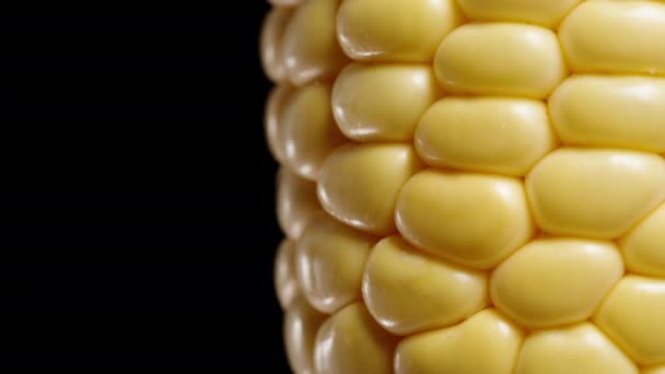 Egyenletes Alakú Magvak Egy Kukorica Cob Forognak Fekete Háttér Makró — Stock videók