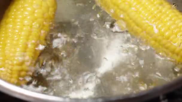 Two Corn Cobs Boiling Bubbling Water Captured Top View Slider — Stock Video