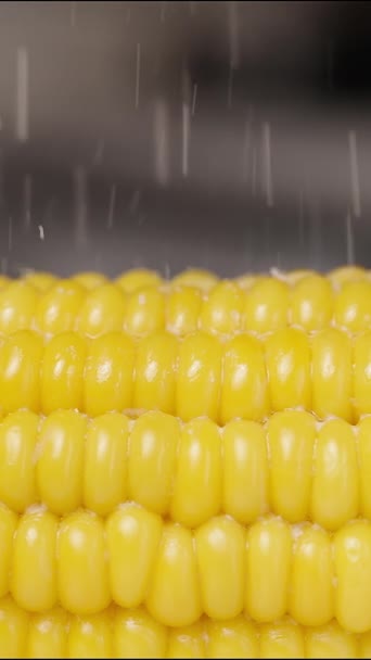 Vídeo Vertical Sal Salpicando Para Baixo Sobre Milho Cozido Capturado — Vídeo de Stock