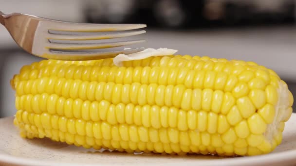 Doe Een Stuk Boter Hete Gekookte Maïs Het Smelt Langzaam — Stockvideo