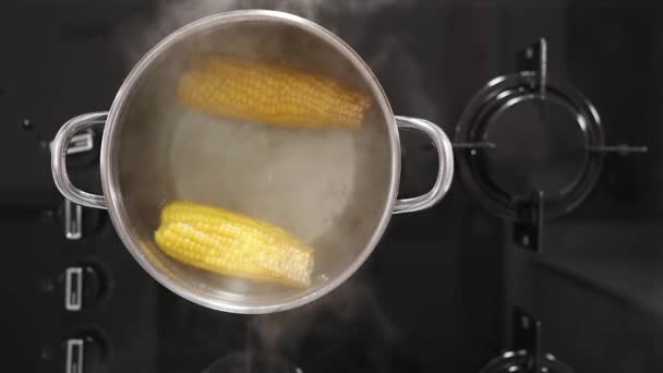 黒いガスストーブの鍋のトップダウンビューは コーンの2つの耳が沸騰している — ストック動画