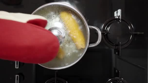 Vergrößern Ansicht Von Oben Auf Mais Kochendem Wasser Auf Einem — Stockvideo