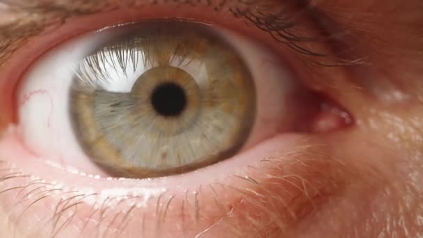 Wide Open Male Eye Looking Straight Ahead Green Iris Macro — Stock Video