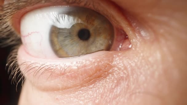 Olho Masculino Olha Intensamente Para Você Com Uma Pupila Focada — Vídeo de Stock