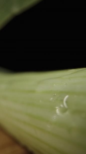 垂直录像 两根绿色淡绿色的茎 根在木板上 黑色背景 多利滑翔机极端特写 — 图库视频影像