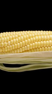 Dikey video. Yarım soyulmuş mısır koçanı siyah arka planda dönüyor. İzole edilmiş. Kaydır